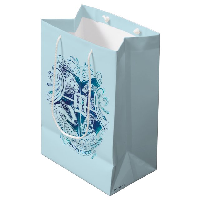 Sacola Para Presentes Média Harry Potter | Aguamenti Brasão HOGWARTS™ (Frente inclinada)