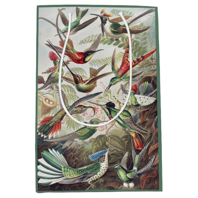 Sacola Para Presentes Média Hummingbird Bird Wildlife Classic Painting (Frente)