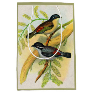 Sacola Para Presentes Média impressão de aves bonito