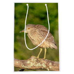 Sacola Para Presentes Média Juvenile Black Crowned Night Heron