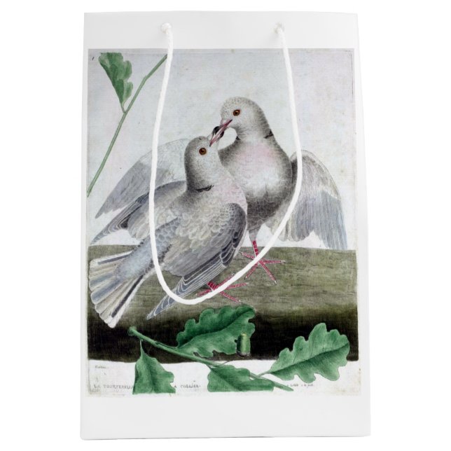 Sacola Para Presentes Média Love Doves (Frente)