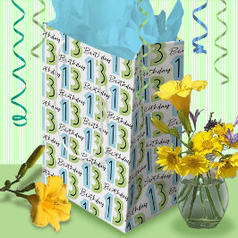 Sacola Para Presentes Média Números de Aniversário do 13 Verde Azul