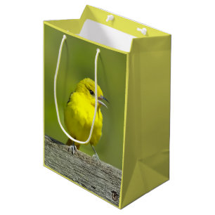 Sacola Para Presentes Média Orchard Oriole - Fotografia original