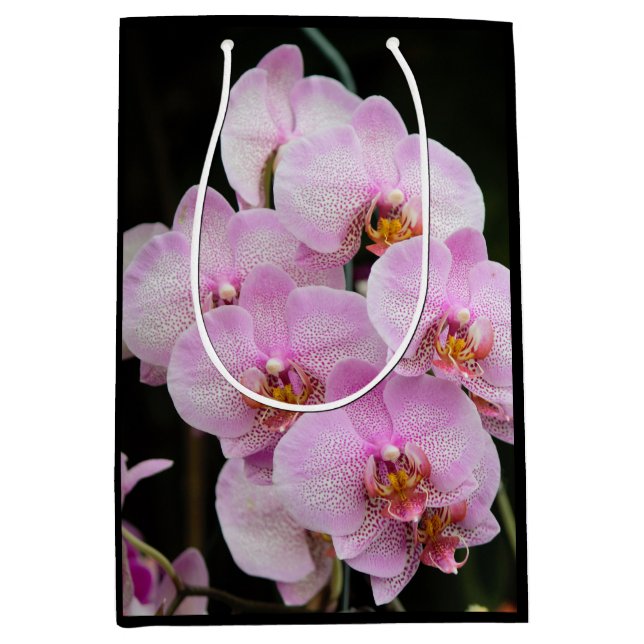 Sacola Para Presentes Média Orquídeas Rosa (Frente)