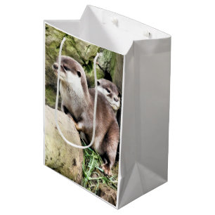 SACOLA PARA PRESENTES MÉDIA OUTROS