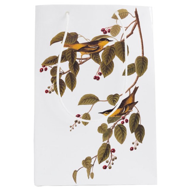 Sacola Para Presentes Média Pássaro Audubon de Warbler Carbonado (Frente)