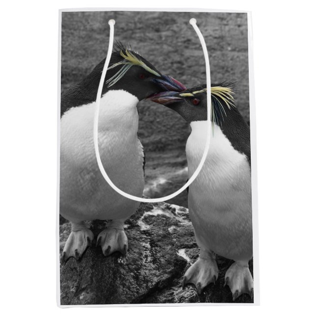 Sacola Para Presentes Média Penguin Colour Splash (Frente)