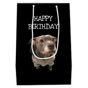 Sacola Para Presentes Média Pitbull Vestindo Hoodie Gift Bag