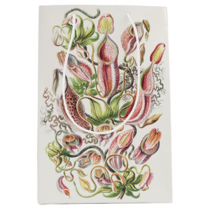 Sacola Para Presentes Média Planta Jarro Botânica Vintage Ernst Haeckel