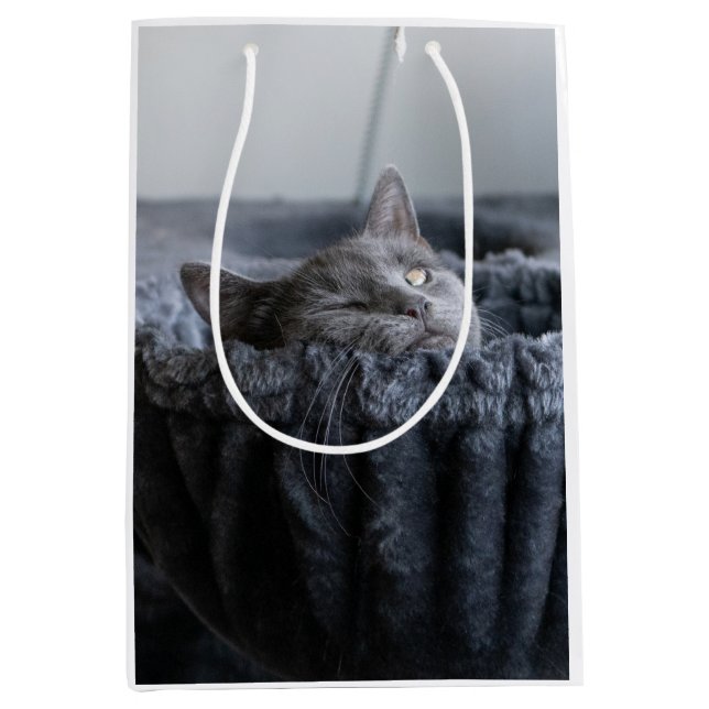 Sacola Para Presentes Média Pupper Socks (Frente)