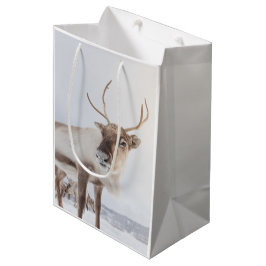 Sacola Para Presentes Média Reindeer Nature Photo