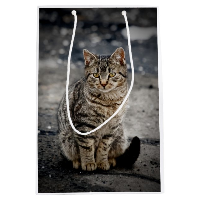 Sacola Para Presentes Média Retrato de um gato (Frente)