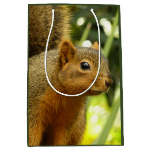 Sacola Para Presentes Média Retrato de uma fotografia de natureza de esquilo