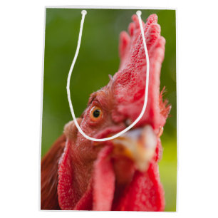Sacola Para Presentes Média Rhode Island Red Rooster
