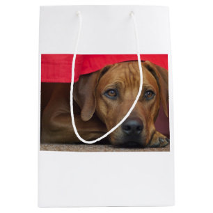 Sacola Para Presentes Média rhodesian-ridgeback