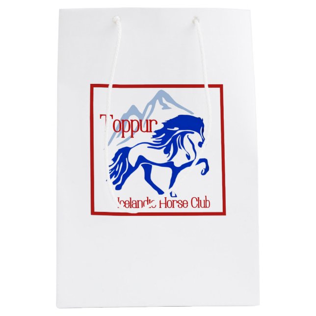 Sacola Para Presentes Média Saco do Presente (Frente)