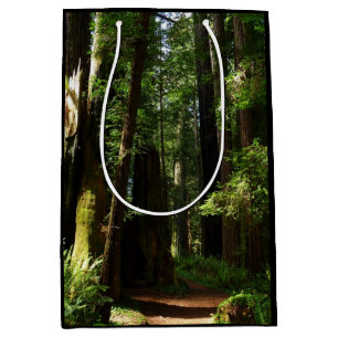 Sacola Para Presentes Média Sequoias e Ferns