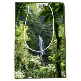 Sacola Para Presentes Média Traffic Falls Tropical RainForest Fotografia