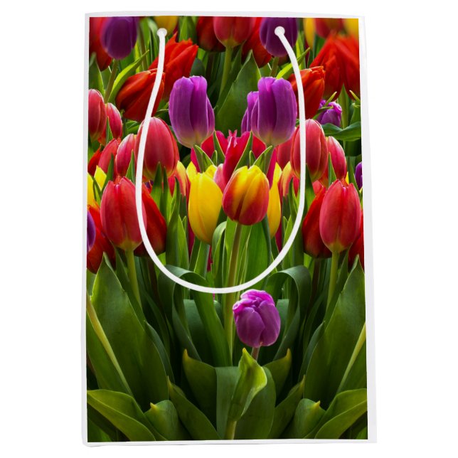Sacola Para Presentes Média Tulipas Bris (Frente)