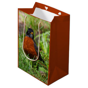 Sacola Para Presentes Média Um Robin Americano curioso e esperançoso