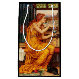 Sacola Para Presentes Pequena A Poção do Amor - A Pintura De Evelyn De Morgan