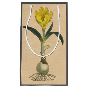 Sacola Para Presentes Pequena Amaryllis Tulip Botanical Garden Flower