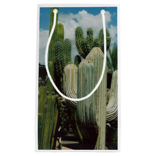 Sacola Para Presentes Pequena Arizona Cactus
