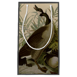 Sacola Para Presentes Pequena Audubon Canada Goose Willife Bird