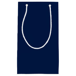 Sacola Para Presentes Pequena Azul Rico (Sólido)