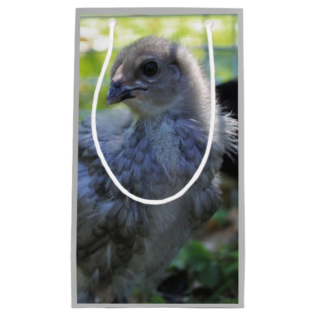 Sacola Para Presentes Pequena Bluebell (Frente)