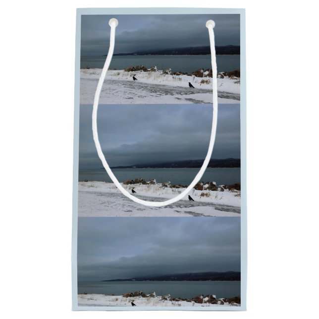 Sacola Para Presentes Pequena Braving a tempestade junto (Frente)