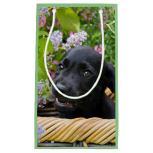 Sacola Para Presentes Pequena Cachorro Negro-Bonito Labrador Retriever Foto Pet