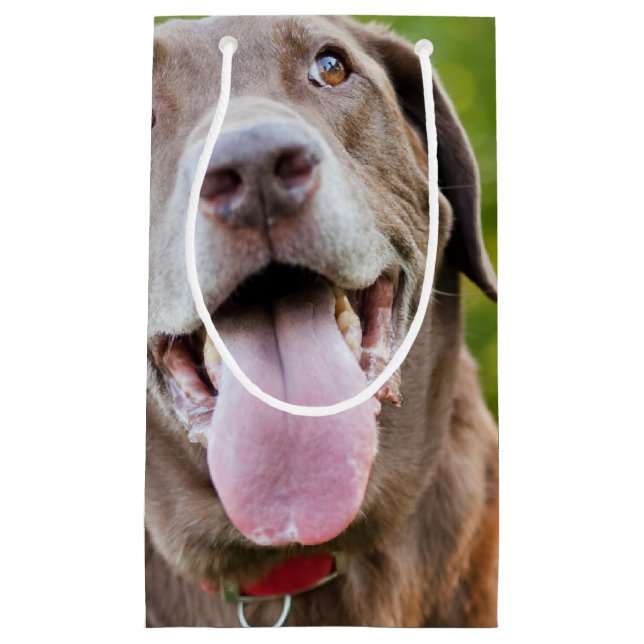 Sacola Para Presentes Pequena Cão de Chocolate (Frente)