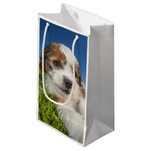Sacola Para Presentes Pequena Cão de filhote de cachorro bonito (Shitzu)