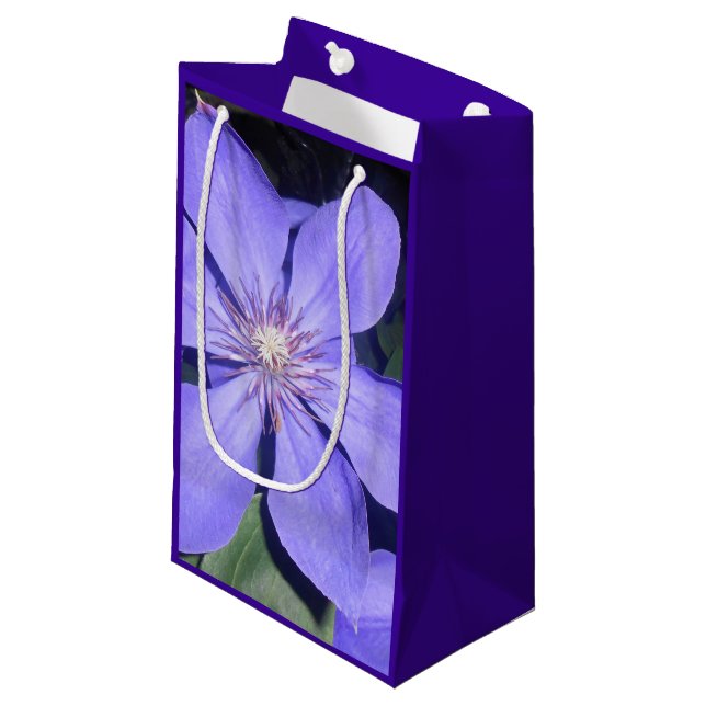 Sacola Para Presentes Pequena Césarine (Frente inclinada)