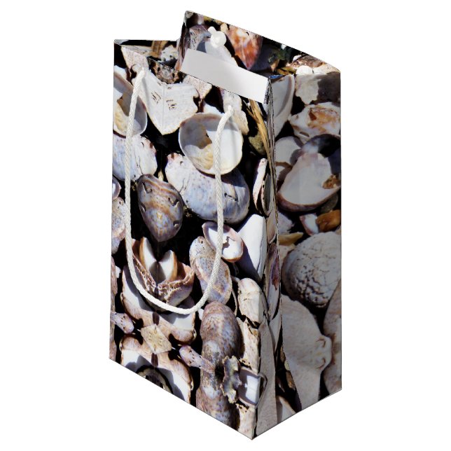 Sacola Para Presentes Pequena Conchas De Mar De Sm Gift Bag (Frente inclinada)