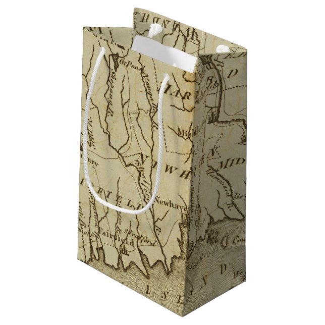 Sacola Para Presentes Pequena Connecticut 8 (Verso inclinado)