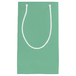 Sacola Para Presentes Pequena Cor Sólida Vintage Seafoam