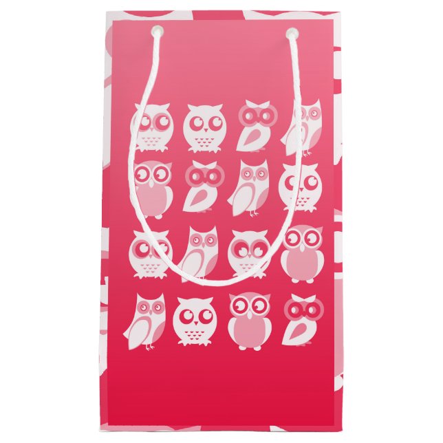 Sacola Para Presentes Pequena Coruja com Saco de Presente (Frente)