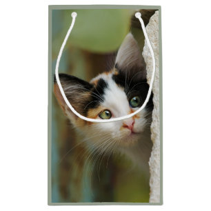 Sacola Para Presentes Pequena Curioso Gato Gato Gato Gato Gato Gato Gritando Olh