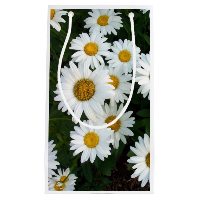 Sacola Para Presentes Pequena Daisy Delight Gift Bag (Frente)