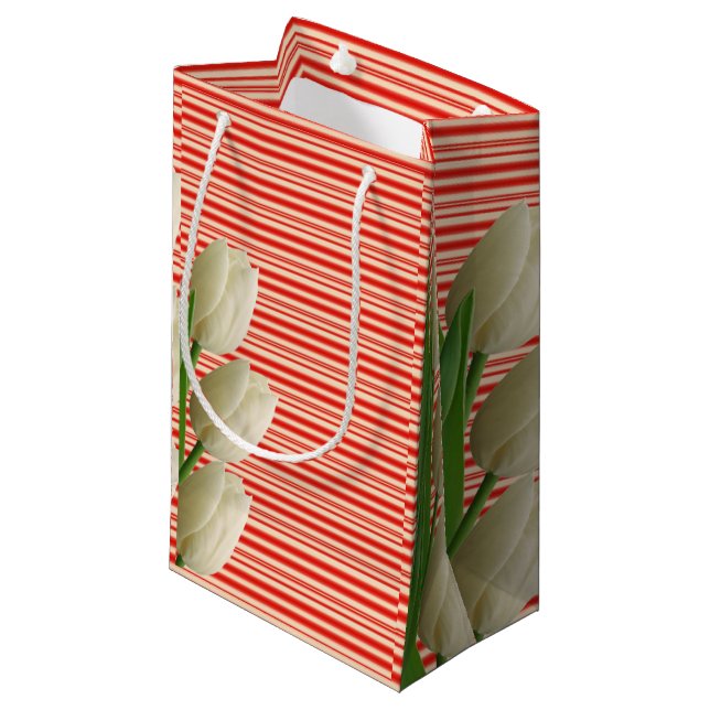 Sacola Para Presentes Pequena Dia de as mães Gift Bag (Frente inclinada)