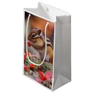 Sacola Para Presentes Pequena Esquilo
