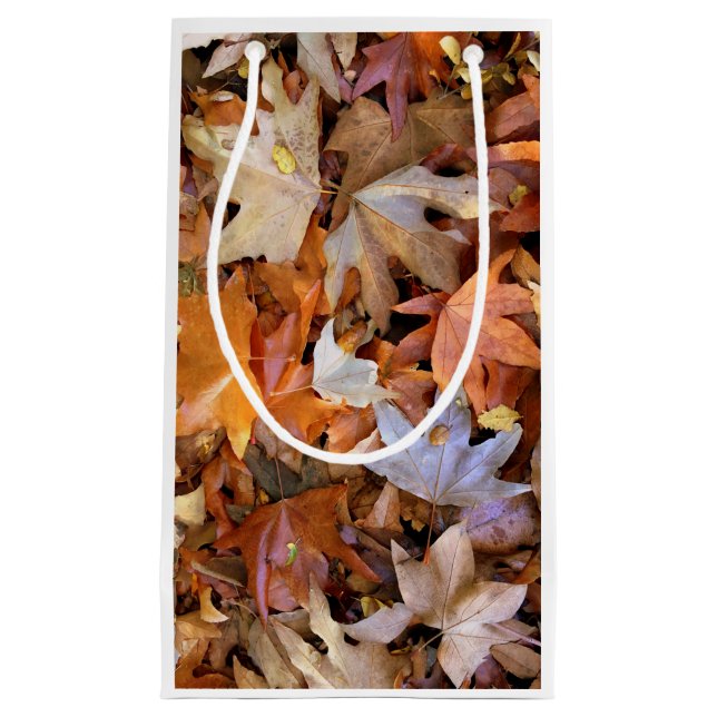 Sacola Para Presentes Pequena Fall Leaf (Frente)