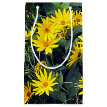 Flores de Alcachofra de Jerusalém