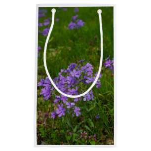 Sacola Para Presentes Pequena Flox Azul Selvagem