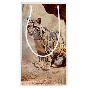 Sacola Para Presentes Pequena foto de leopardo nebuloso natureza vida selvagem e
