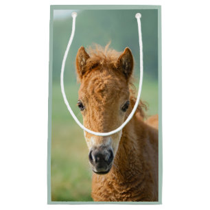 Sacola Para Presentes Pequena Foto Frontal Da Cabeça Do Cavalo Do Pé Da Shetla