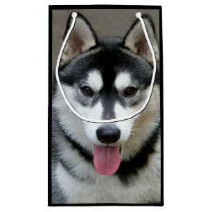 Sacola Para Presentes Pequena Fotografia do cão do Malamute do Alasca