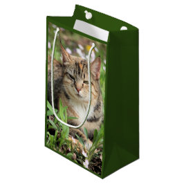 Sacola Para Presentes Pequena Gato